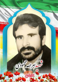 شهید امرالله محمودی
