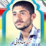 شهید سعید مردانی