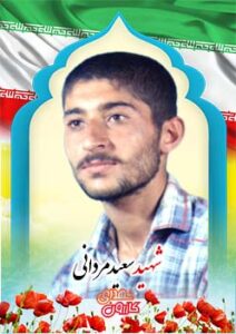 شهید سعید مردانی