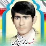 شهید سیدمحمدشفیع نجیبی