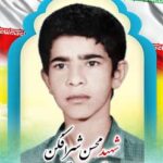 شهید محسن شیرافکن
