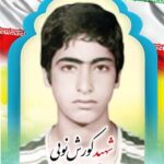 شهید کورش نویی