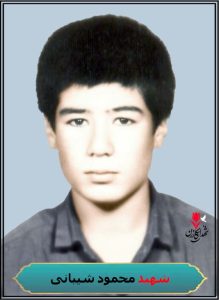 شهید محمود شیبانی شهادت 20 دی عملیات کربلای 5 شلمچه