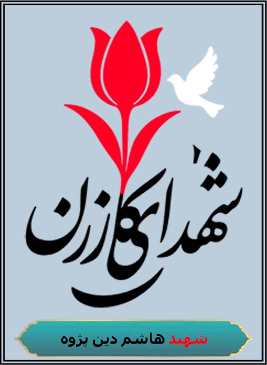 شهید هاشم دین پژوه محل شهادت جزیره مجنون محل تولد کازرون