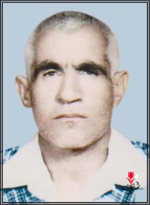 شهید سردار پولادی