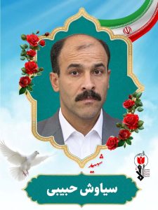 سیاوش حبیبی فرزند خسرو